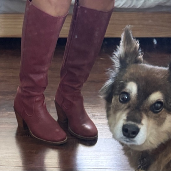 Seychelles Shoes - Seychelles Burgundy Heeled Boots